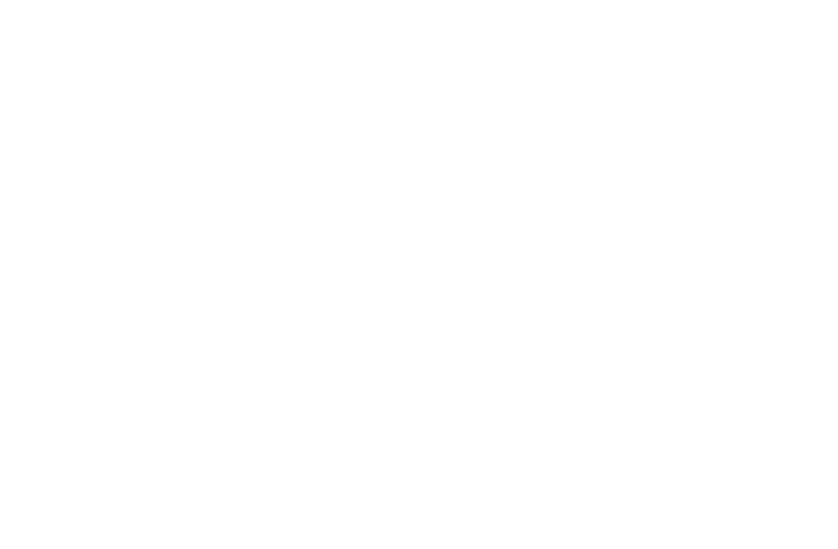 Logotip-Velika-planina